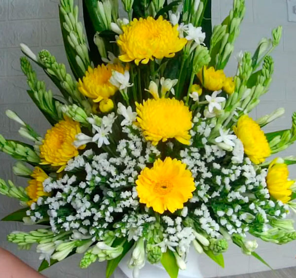 Cách cắm hoa cúc bàn thờ Phật: Ý nghĩa, mẫu cắm và quy tắc tâm linh