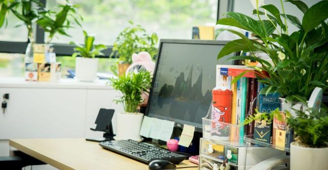 Chỗ ngồi làm việc phong thủy: Bí quyết thu hút tài lộc và thăng tiến